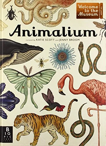 americanbookwarehouse10-877252