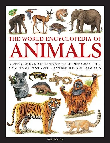 americanbookwarehouse10-878524