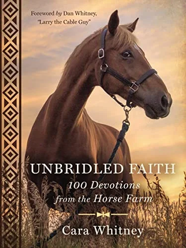 americanbookwarehouse10-884248