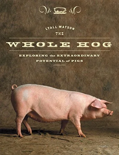 americanbookwarehouse10-893183