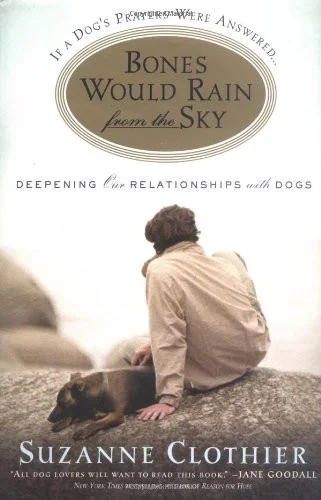 americanbookwarehouse10-896042