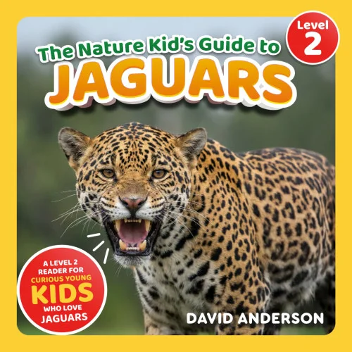 americanbookwarehouse11-1088853
