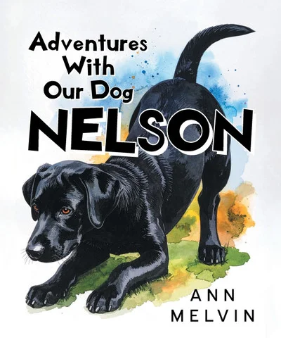 americanbookwarehouse11-1093566