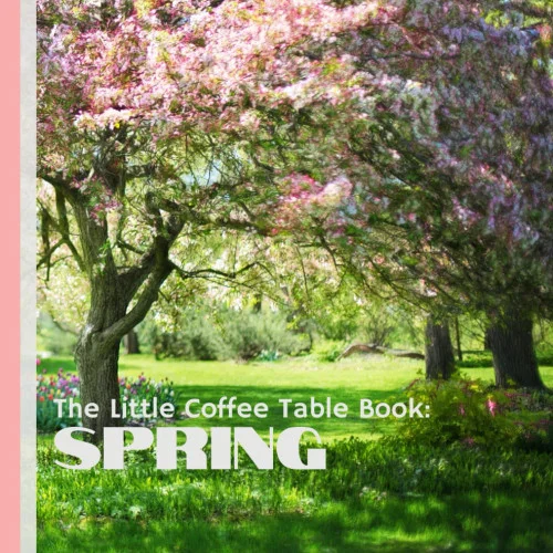 americanbookwarehouse11-1100819
