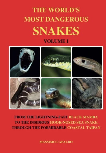 americanbookwarehouse11-1101116