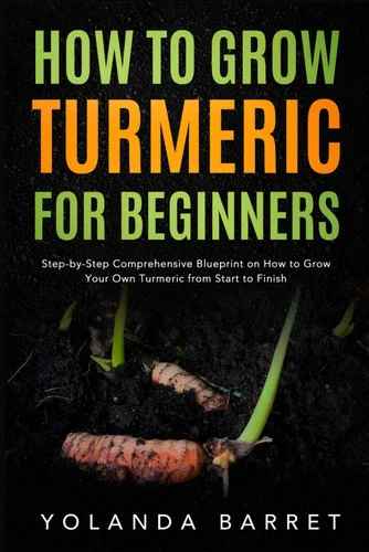 americanbookwarehouse11-1105525