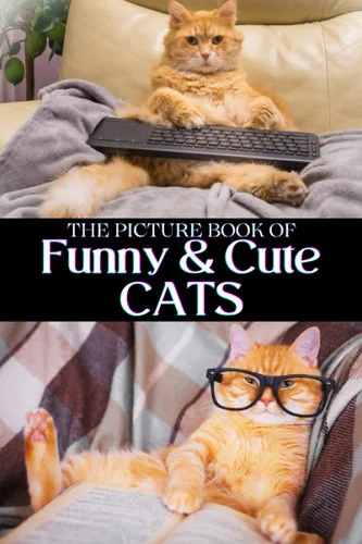 americanbookwarehouse11-1110652