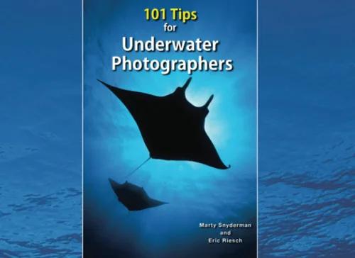 americanbookwarehouse11-1110931
