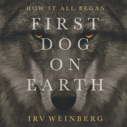 americanbookwarehouse11-1111374