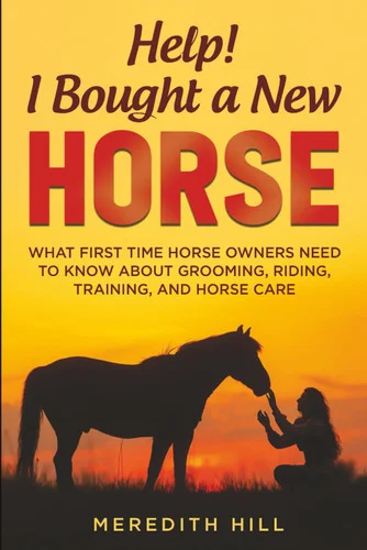 americanbookwarehouse11-1120421