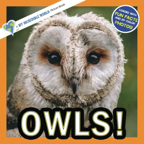 americanbookwarehouse11-1120889