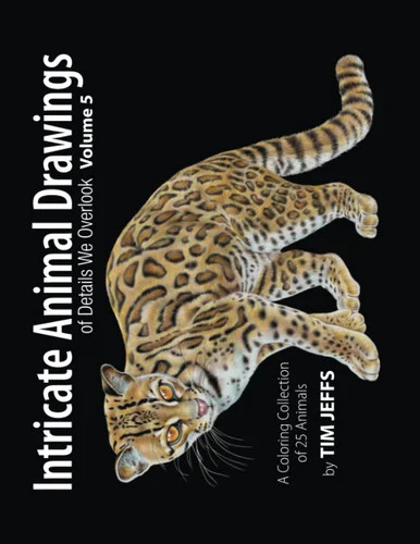 americanbookwarehouse11-1123979