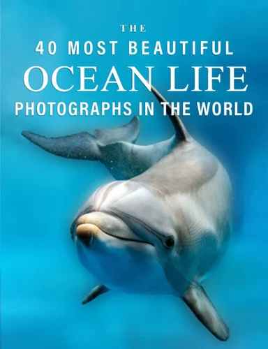 americanbookwarehouse11-1124499