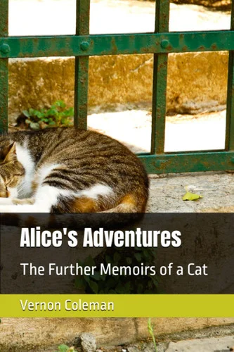 americanbookwarehouse11-1126062