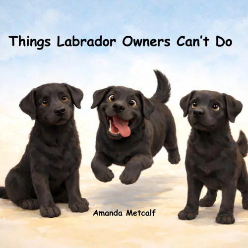 americanbookwarehouse11-1129217