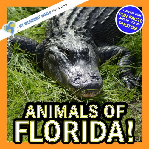americanbookwarehouse12-1780440