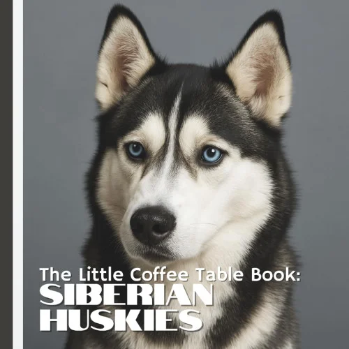 americanbookwarehouse12-1786317
