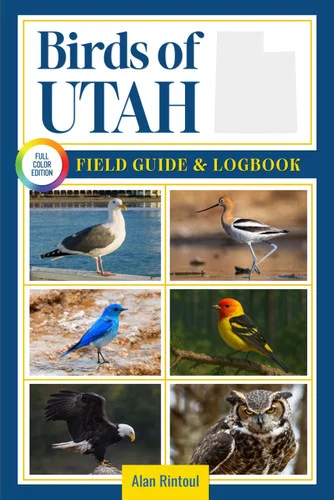 americanbookwarehouse12-1789306