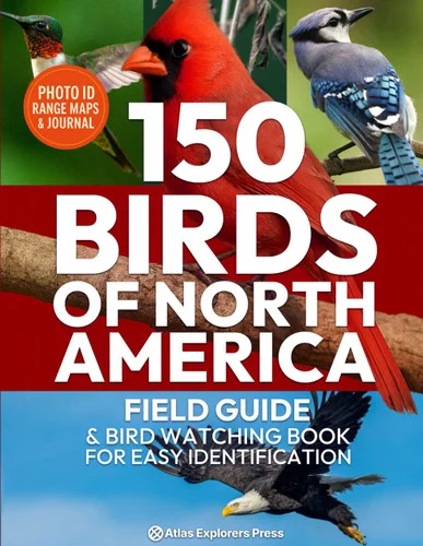 americanbookwarehouse12-1790590