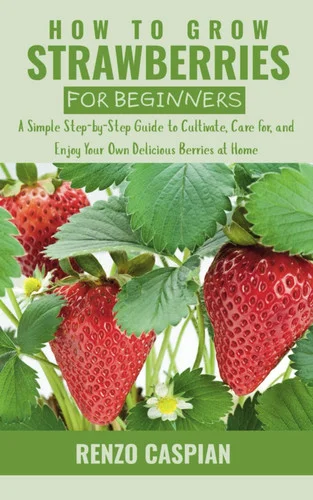 americanbookwarehouse12-1795946