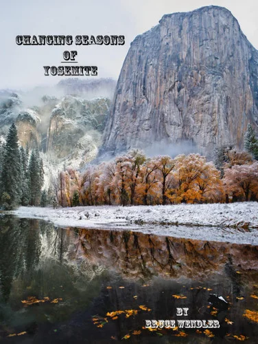 americanbookwarehouse12-1801581