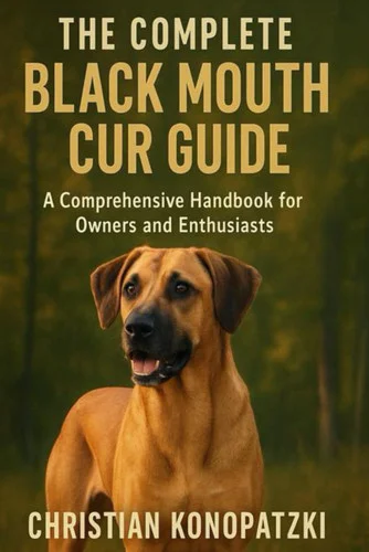 americanbookwarehouse12-1811319
