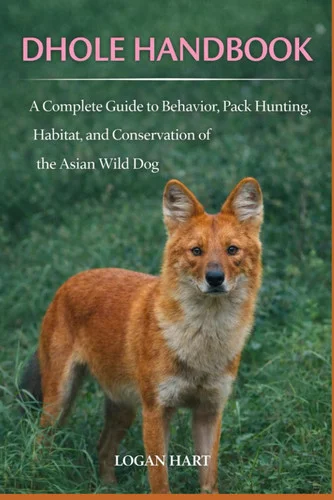 americanbookwarehouse12-1828011