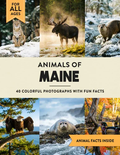 americanbookwarehouse12-1830909