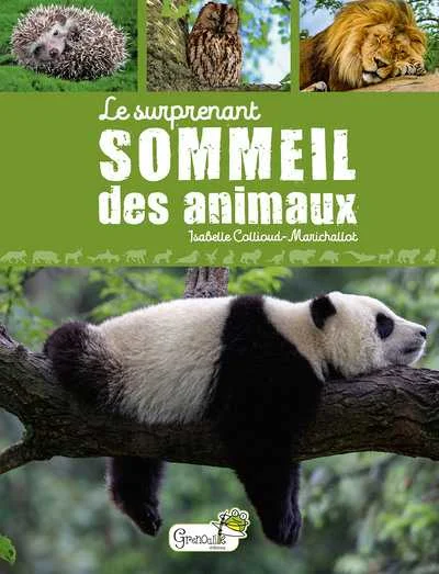 antoineonline8-1257983