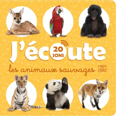 antoineonline8-1293008