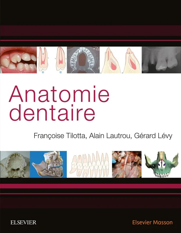 antoineonline9-1361740