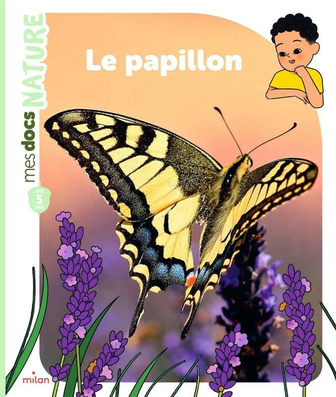 antoineonline9-1366197