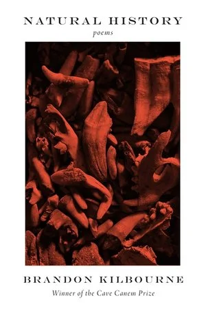 bookcellarinc5-1561857
