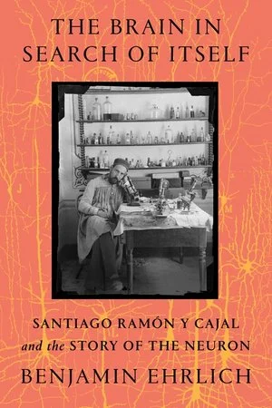 bookcellarinc6-1667542