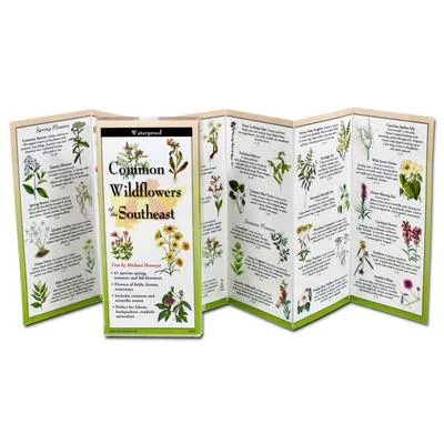 discountmags11-1467321