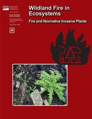 discountmags15-1715522