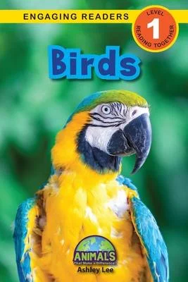 discountmags8-863242