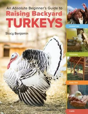 discountmags9-1269265