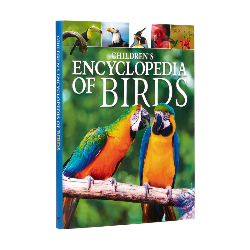tatteredcover16912477