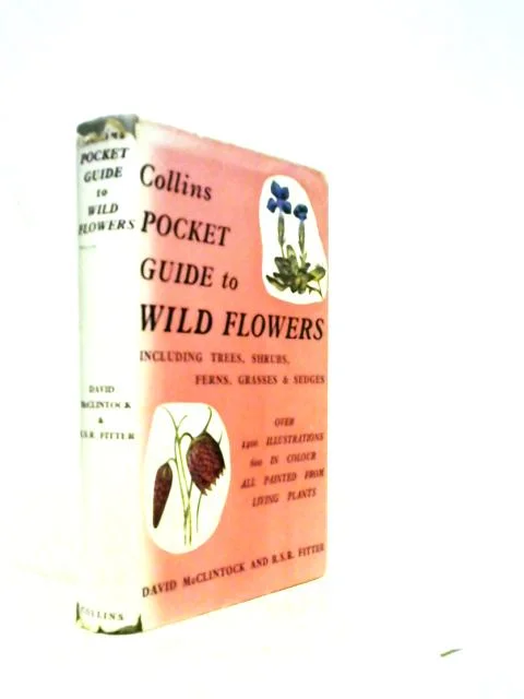 worldofbooks19-1509930