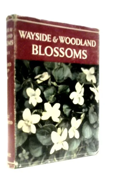 worldofbooks19-1559802