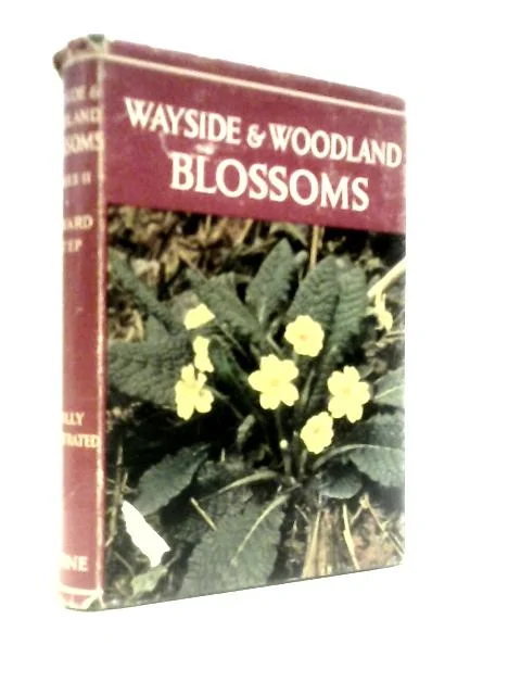 worldofbooks19-1560276