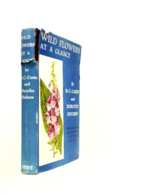 worldofbooks19-1560976